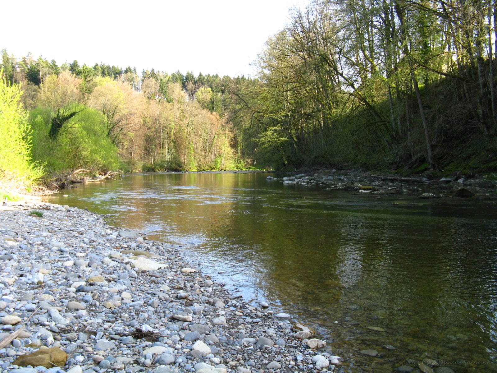 An der Argen